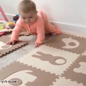 "I don't care if this is her first time crawling. I walk around on four legs daily, and I'm way cuter."