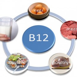 Vitamin-B12